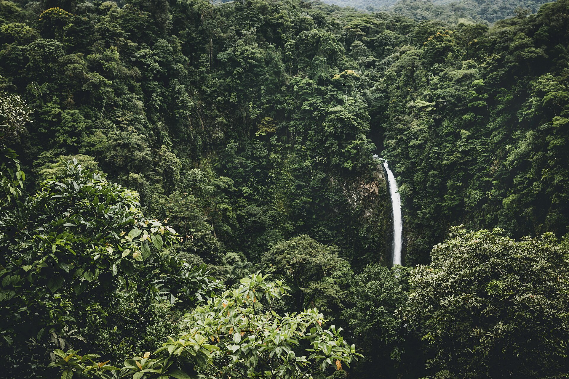 Costa Rica — Pacific Coast & Cloud Forest